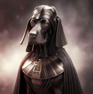 Meet your Posher, Steve